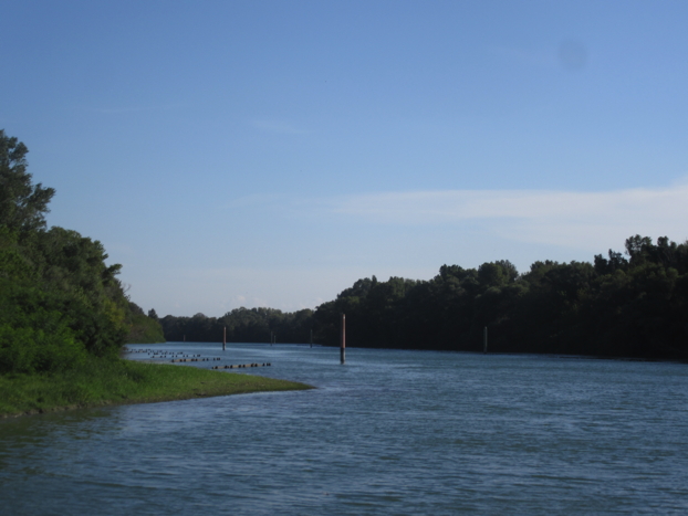 _bye_bye_petit_rhone