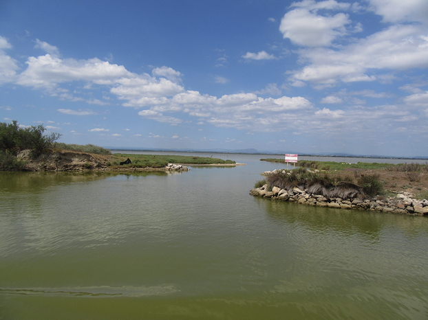 entry_to_etang_de_mauguio