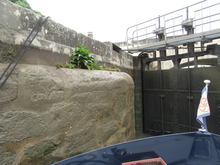 C47627EA-8C6F-43E8-B923-A28552F8FE54