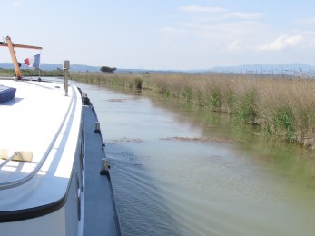 1175C167-EBE5-4AB6-ACA0-7C8B67861810