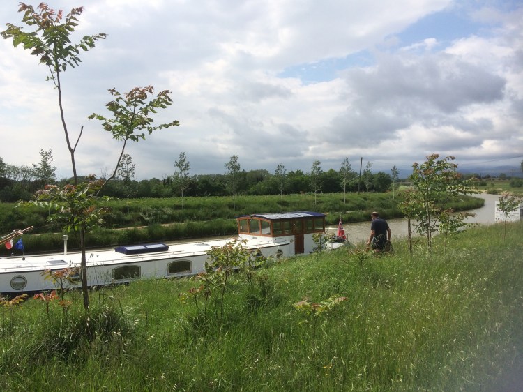 B01309A4-D48F-4986-8280-53181AF1A654