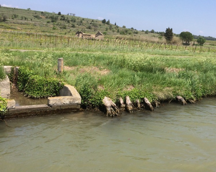 CF3BDA95-69CE-4719-879B-9F6BAFDA8513