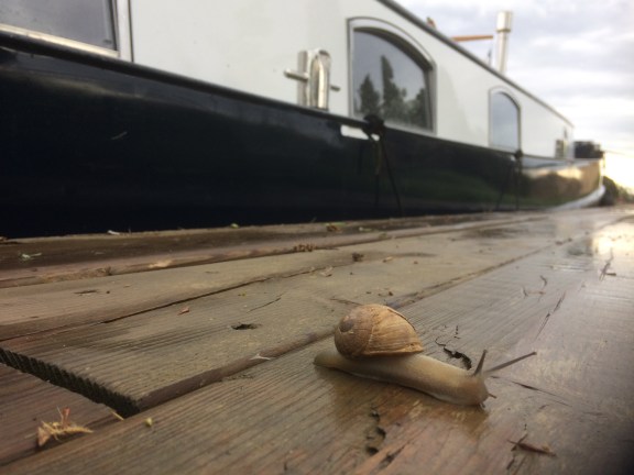 E05A88C8-3F8D-4864-8623-3AF58B90432E