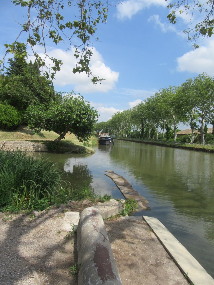 37F54BDF-0F5D-4185-9EA2-1B72BDF0F281