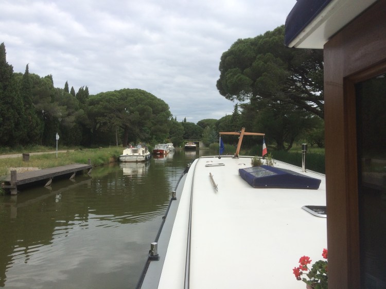 46D78F6B-D97E-47D1-9414-B0C247F52275