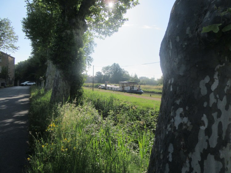 D2D3E55F-2C35-45B8-837B-98E9F6DCCB56