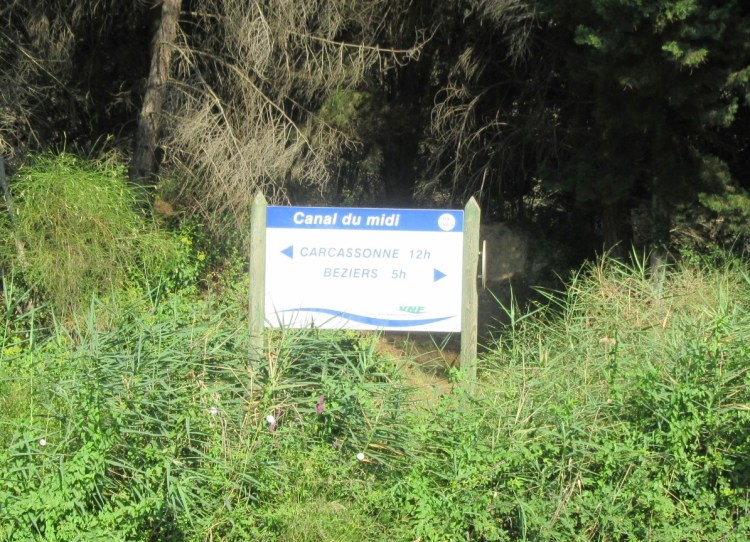 3591A8F8-B268-496F-BAF0-2B71A768CF94