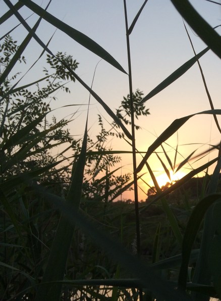 5143F568-8499-4CD8-8AC3-6D94D4F982E7