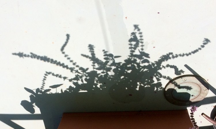 BBE0DBD3-2A9C-4BD9-B83C-4827D2789CED