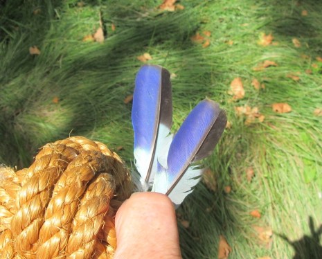 C7237EEF-6737-4EB9-A159-939955CDD724