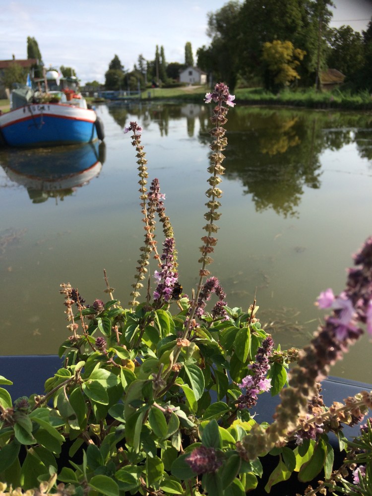 378150A6-BEC1-439F-84A2-AAFB2C49FE70