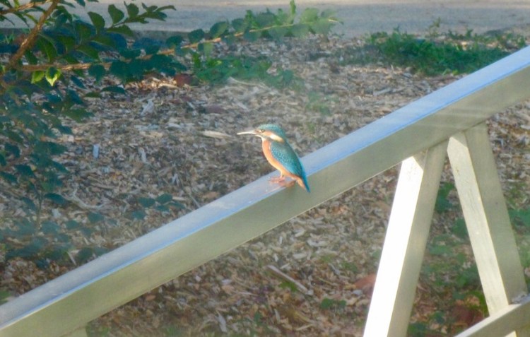 6202478D-D31C-46B6-A5FE-71F52A727000