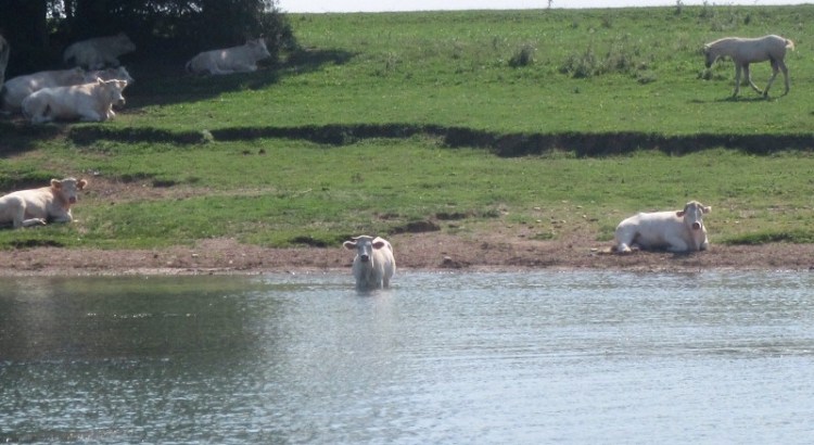 BFF41E2D-006D-4804-B86A-7F00253D3BE7