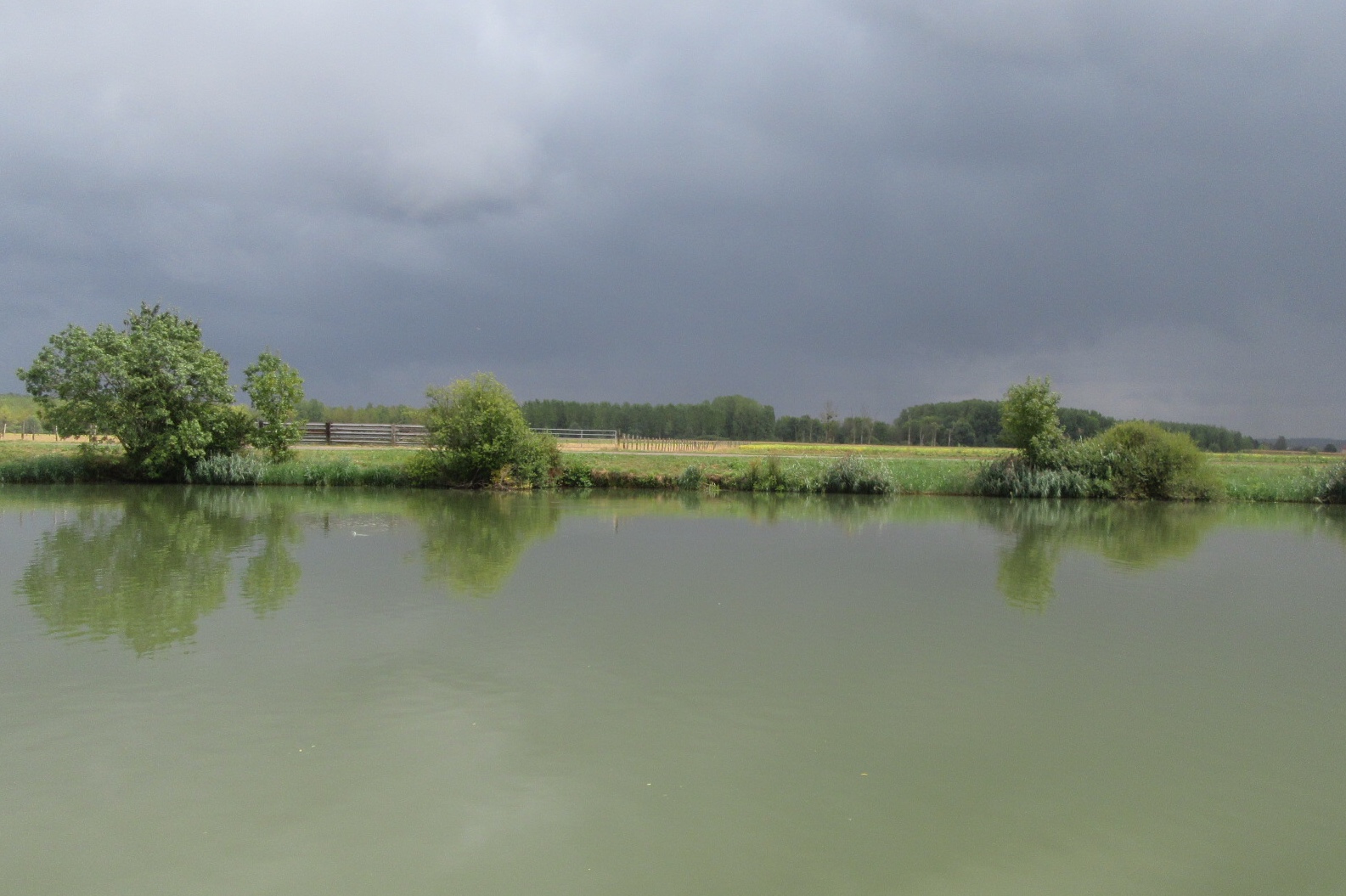 C09EF10D-3ED5-4777-B18E-4383A783B093