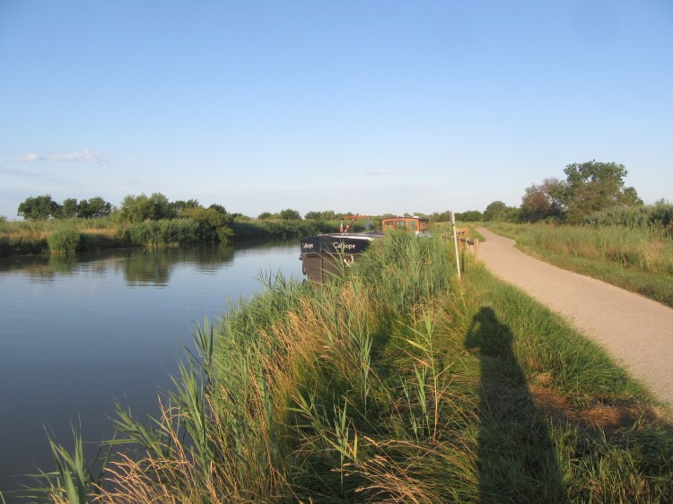 D0F5443D-D76F-4229-BA16-41C923278CB6