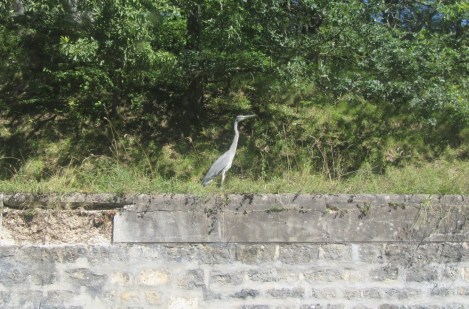 6623FFC7-7B94-49ED-9000-5A342C87342B