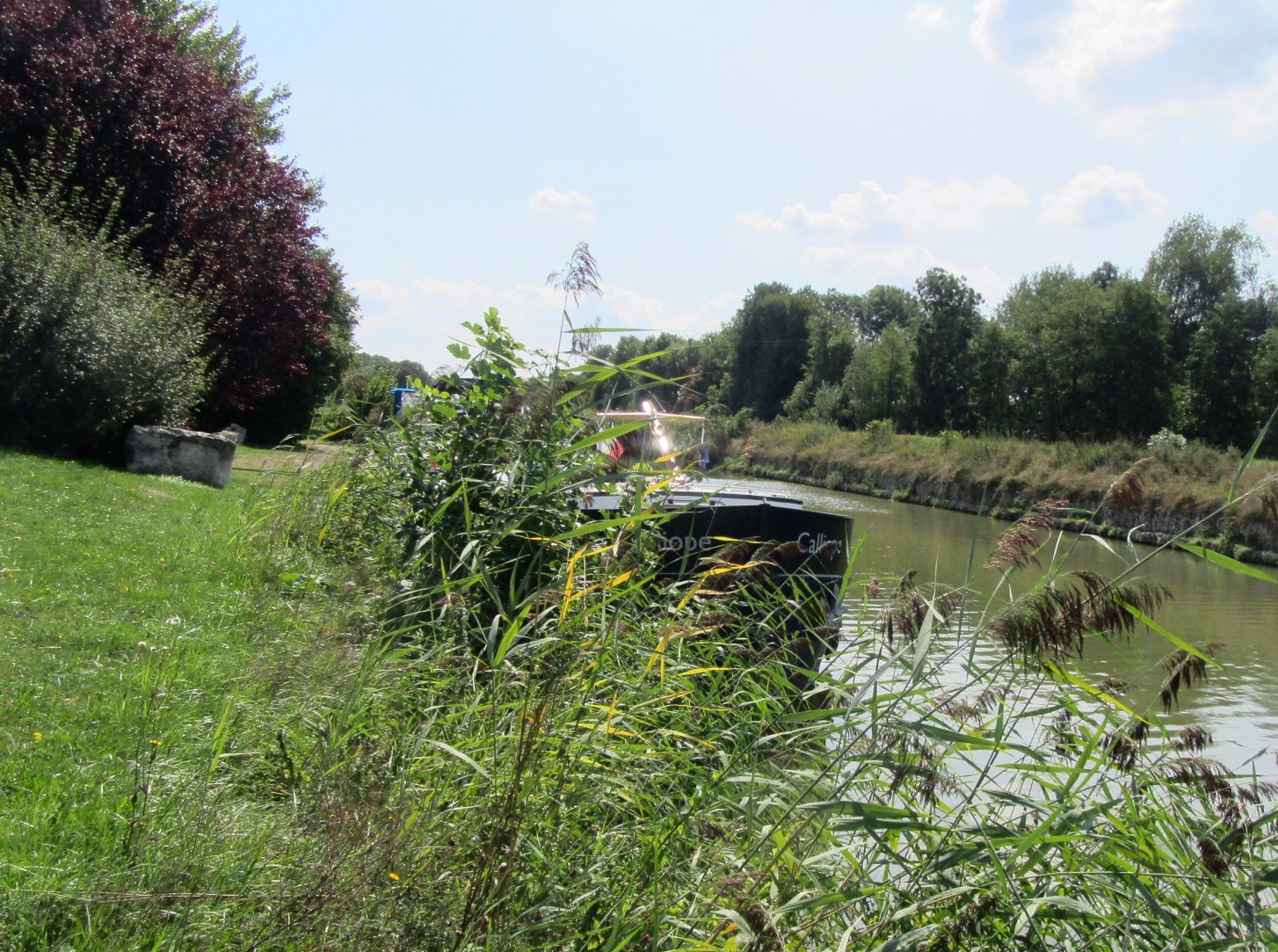 81043F77-C517-4159-B2F6-344F6F0EF0B5