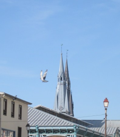 846EA99E-5211-4DB8-9F5B-BD65A27852FF